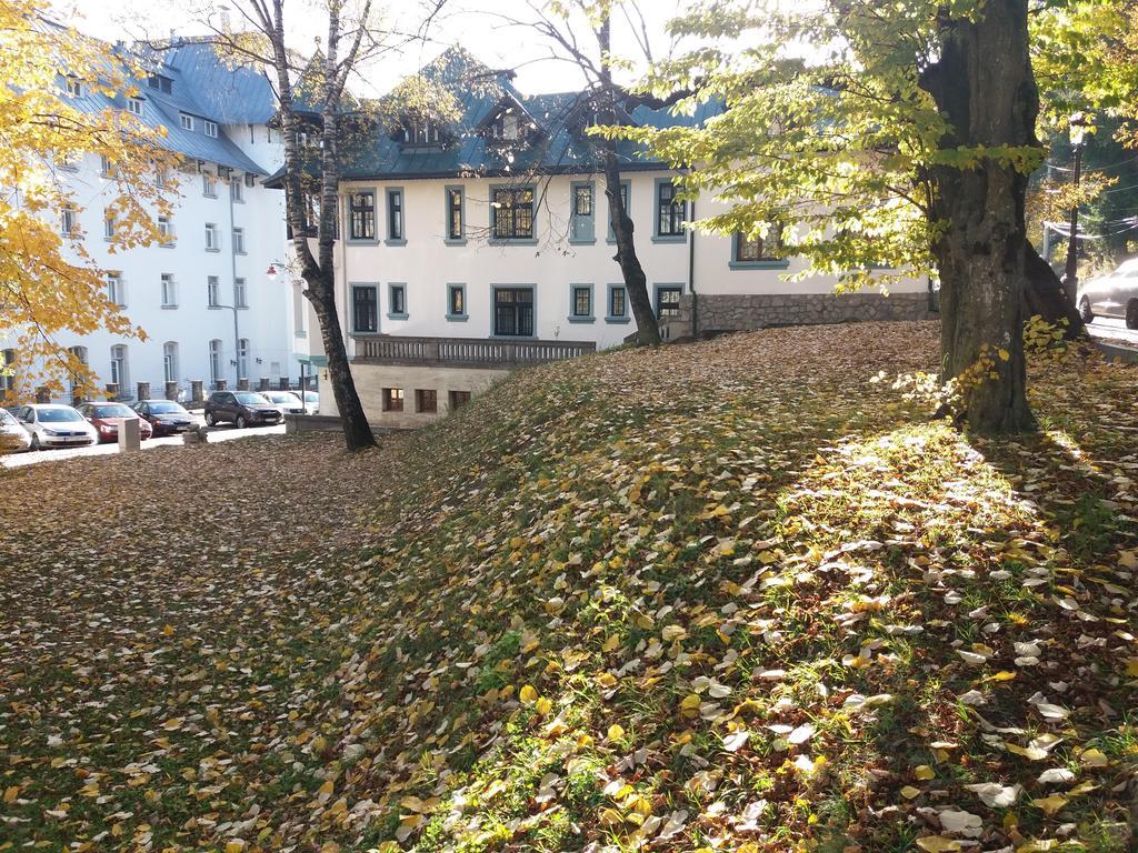 Hotel Tantzi Sinaia Exteriör bild